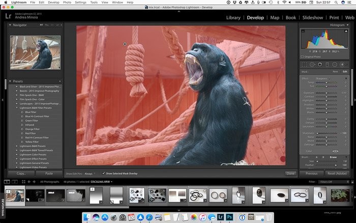 Effortlessly Blur Photo Backgrounds in Lightroom: Step-by-Step Guide