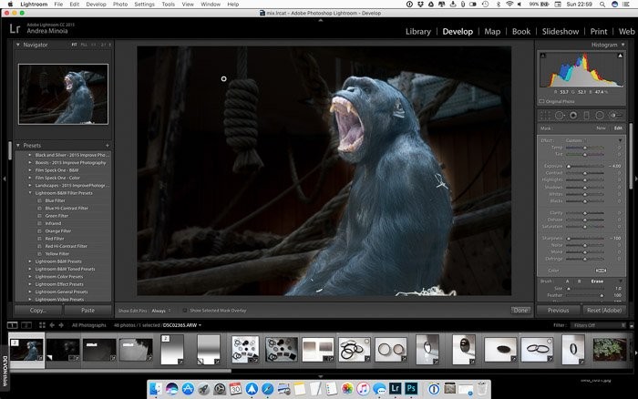 Effortlessly Blur Photo Backgrounds in Lightroom: Step-by-Step Guide