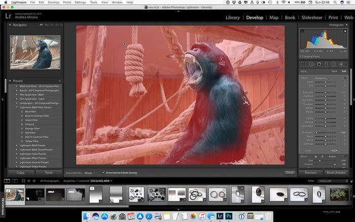 Effortlessly Blur Photo Backgrounds in Lightroom: Step-by-Step Guide