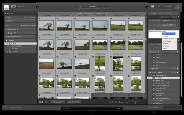 Lightroom vs. Photoshop: Which Photo Editor is Best for You?
