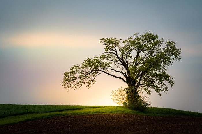 Lightroom vs. Photoshop: Which Photo Editor is Best for You?