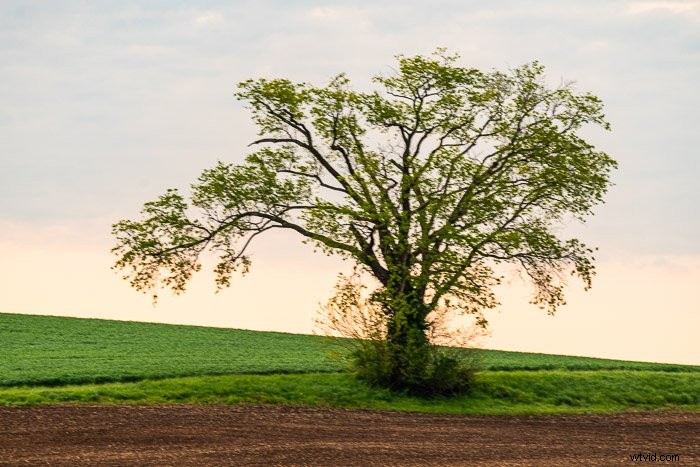 Lightroom vs. Photoshop: Which Photo Editor is Best for You?