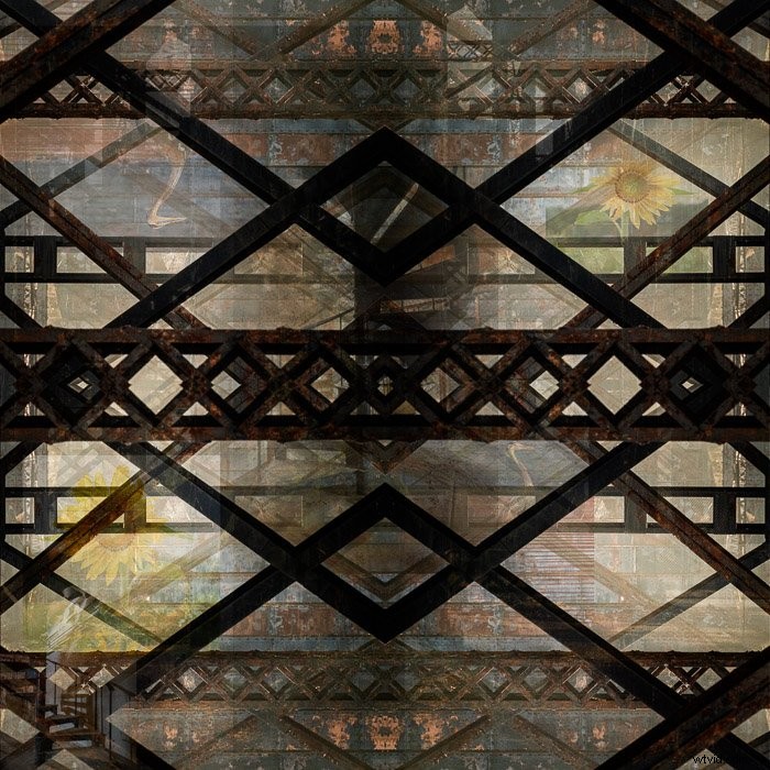 Lightroom vs. Photoshop: Which Photo Editor is Best for You?