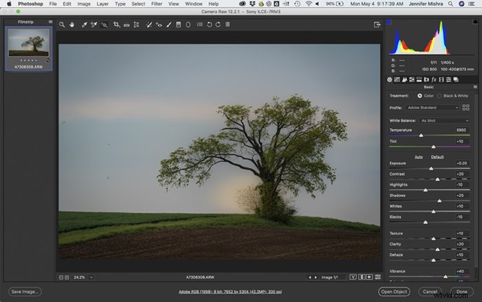 Lightroom vs. Photoshop: Which Photo Editor is Best for You?
