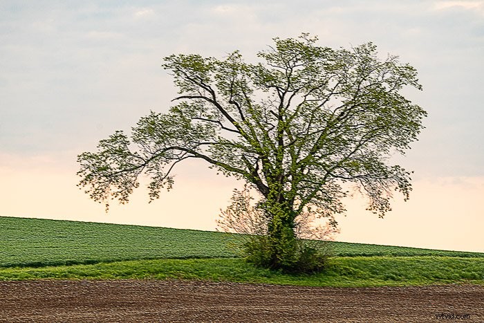 Lightroom vs. Photoshop: Which Photo Editor is Best for You?