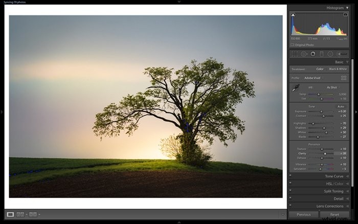 Lightroom vs. Photoshop: Which Photo Editor is Best for You?