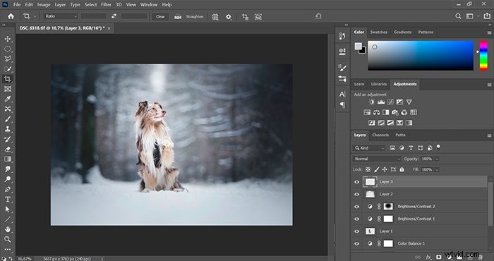 Master Photoshop: Ultimate Guide with 101 Step-by-Step Tutorials