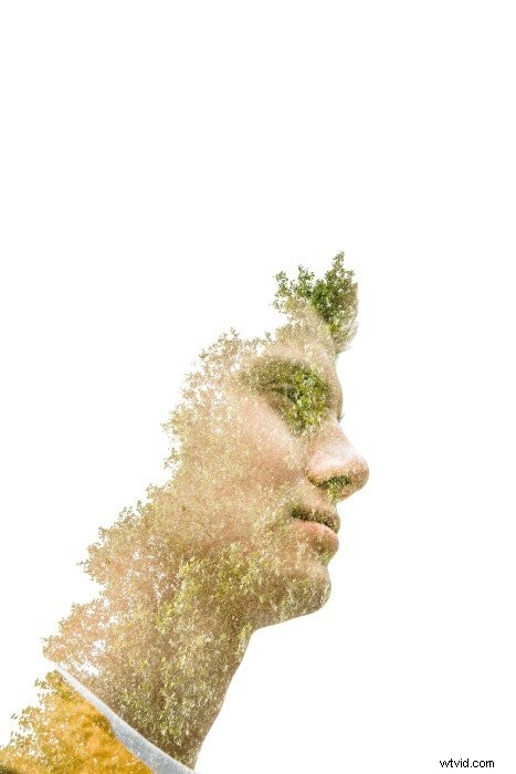 Master Photoshop: Ultimate Guide with 101 Step-by-Step Tutorials