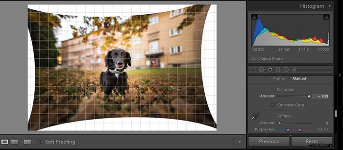 Master Photo Editing: 12 Essential Steps for Beginners