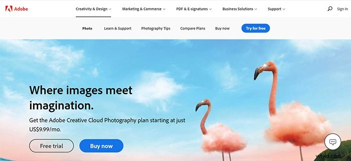 Master Photo Editing: 12 Essential Steps for Beginners