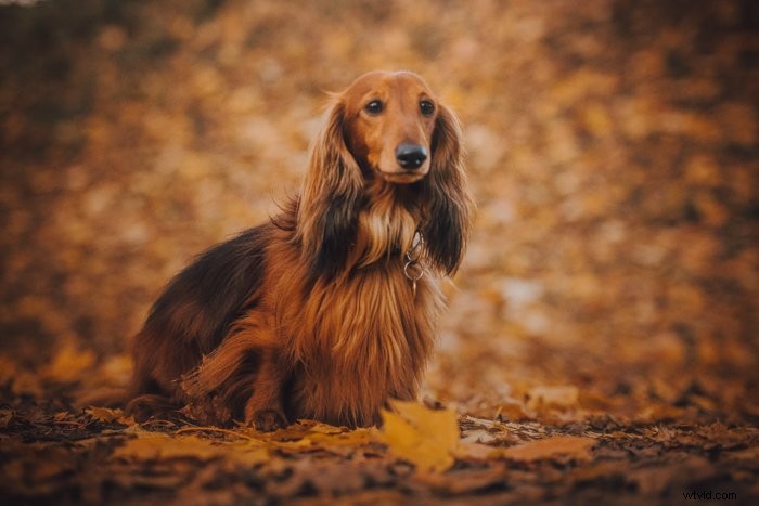 Master Photo Editing: 12 Essential Steps for Beginners