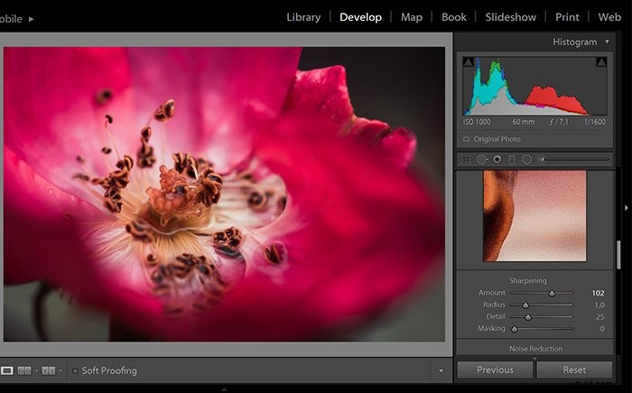 Master Photo Editing: 12 Essential Steps for Beginners