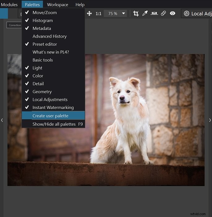 DxO PhotoLab 4 Review 2022: Revolutionary AI Denoising & Photo Editing Software