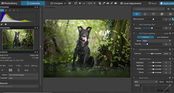 DxO PhotoLab 4 Review 2022: Revolutionary AI Denoising & Photo Editing Software