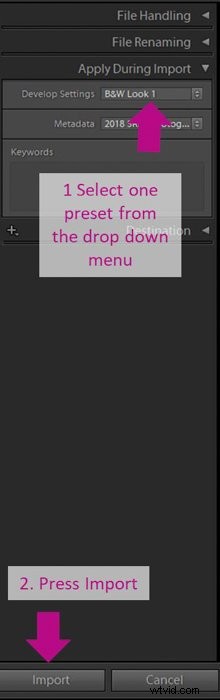 Master Batch Editing in Lightroom: Easy Step-by-Step Guide
