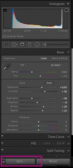 Master Batch Editing in Lightroom: Easy Step-by-Step Guide