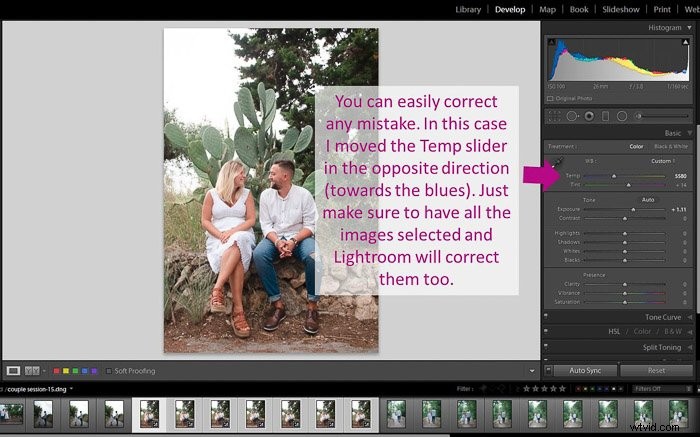 Master Batch Editing in Lightroom: Easy Step-by-Step Guide