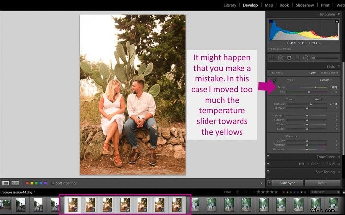 Master Batch Editing in Lightroom: Easy Step-by-Step Guide
