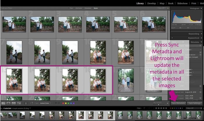 Master Batch Editing in Lightroom: Easy Step-by-Step Guide