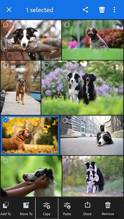 Master Batch Editing in Lightroom: Easy Step-by-Step Guide