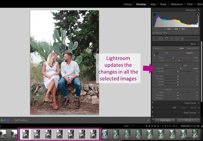 Master Batch Editing in Lightroom: Easy Step-by-Step Guide
