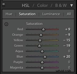 Beginner s Guide to Mastering Food Photo Editing in Lightroom
