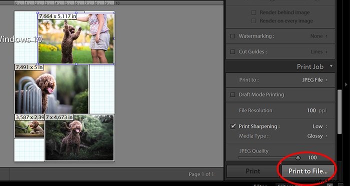 Create Stunning Photo Collages in Adobe Lightroom: Easy Step-by-Step Guide