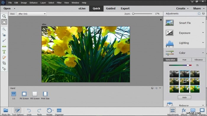 Ultimate Guide to the Best Photo Editing Software for Photographers