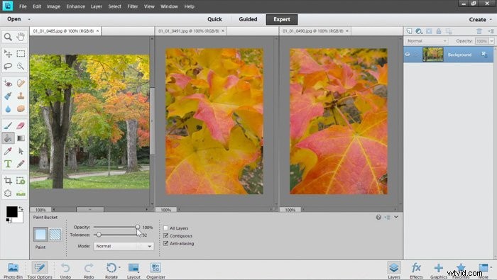 Ultimate Guide to the Best Photo Editing Software for Photographers