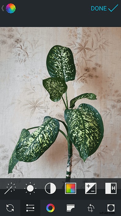 Ultimate Guide to the Best Photo Editing Software for Photographers