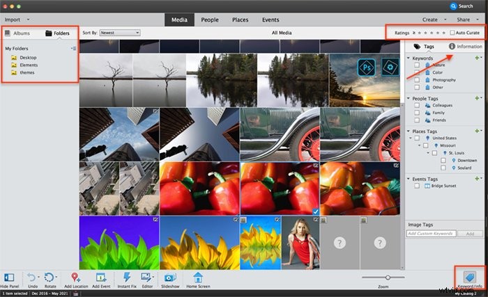 Photoshop Elements vs. Lightroom Classic: Which is Best for Your Photo Editing?