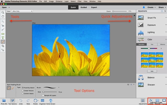 Photoshop Elements vs. Lightroom Classic: Which is Best for Your Photo Editing?