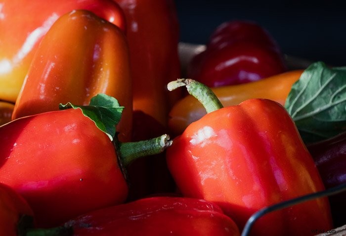 Photoshop Elements vs. Lightroom Classic: Which is Best for Your Photo Editing?