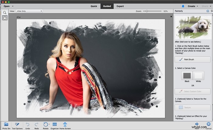 Photoshop Elements vs. Lightroom Classic: Which is Best for Your Photo Editing?