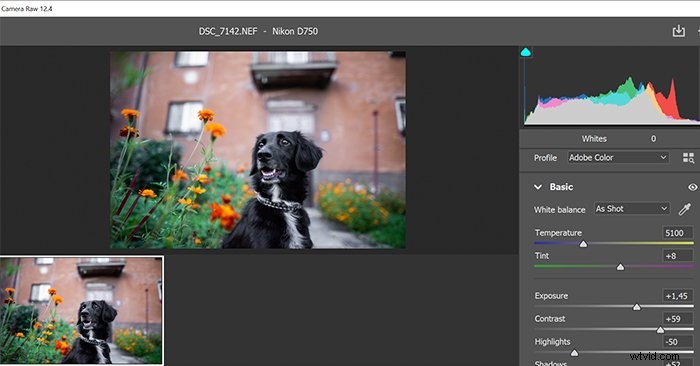 CR3 File Explained: What It Is and How to Open Canon RAW Images