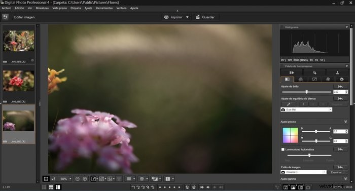 CR3 File Explained: What It Is and How to Open Canon RAW Images