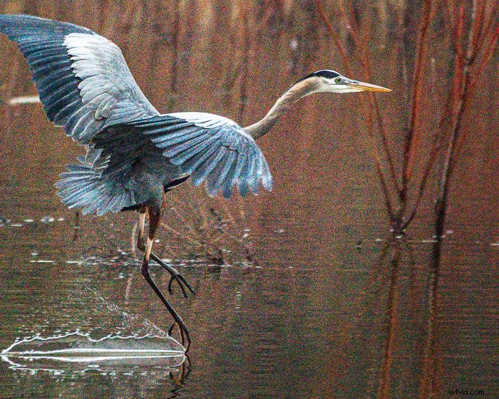 Top Noise Reduction Software for Photographers: Eliminate Grain for Crystal-Clear Images