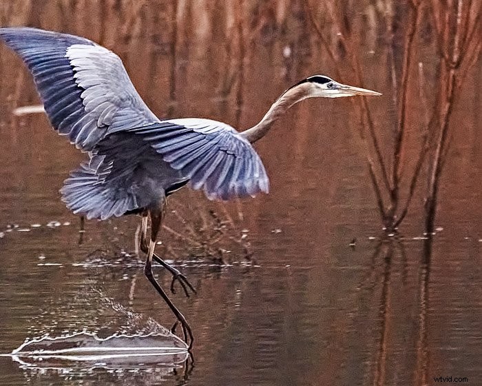 Top Noise Reduction Software for Photographers: Eliminate Grain for Crystal-Clear Images