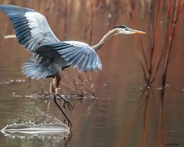 Top Noise Reduction Software for Photographers: Eliminate Grain for Crystal-Clear Images