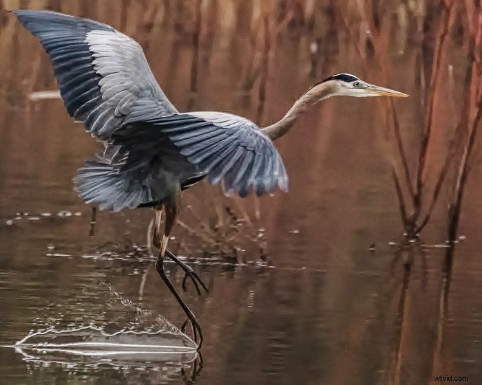 Top Noise Reduction Software for Photographers: Eliminate Grain for Crystal-Clear Images