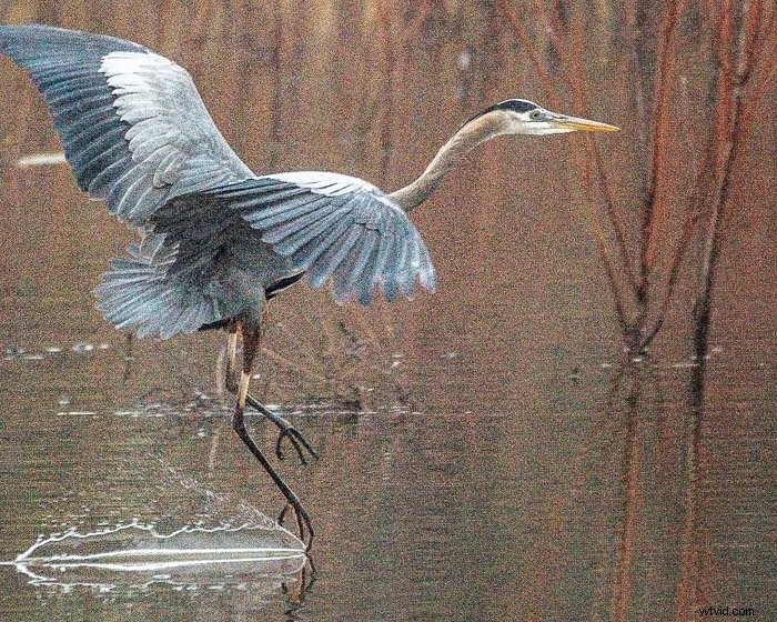 Top Noise Reduction Software for Photographers: Eliminate Grain for Crystal-Clear Images