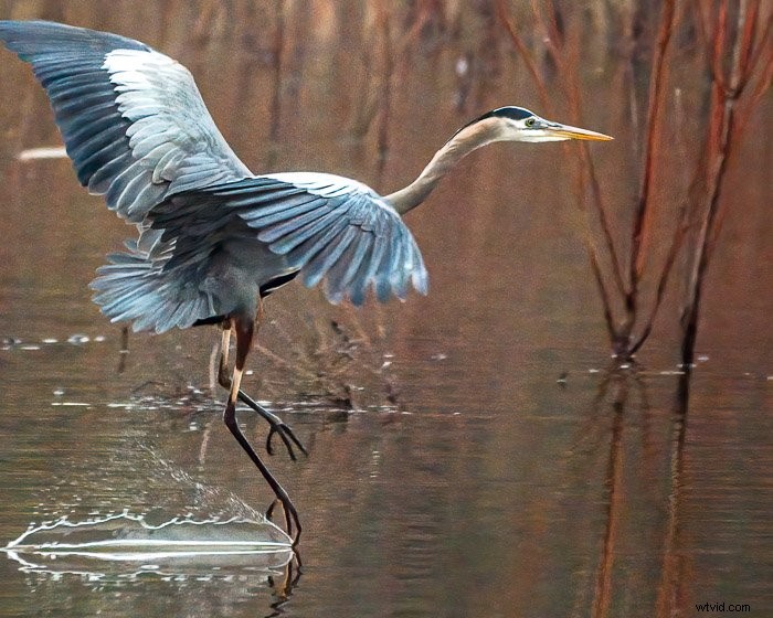 Top Noise Reduction Software for Photographers: Eliminate Grain for Crystal-Clear Images