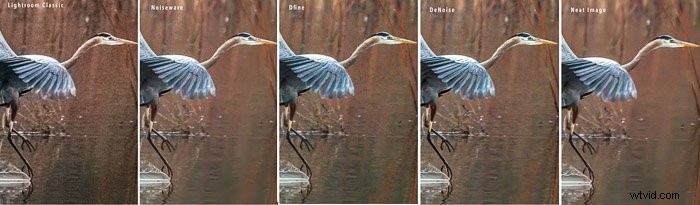 Top Noise Reduction Software for Photographers: Eliminate Grain for Crystal-Clear Images