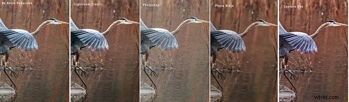 Top Noise Reduction Software for Photographers: Eliminate Grain for Crystal-Clear Images