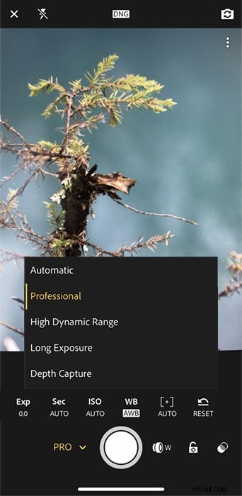 Lightroom CC vs. Lightroom Classic vs. Mobile: Key Differences and Best Choice Guide