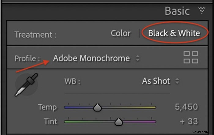 Expert Guide: Convert Images to Stunning Black & White in Photoshop and Lightroom