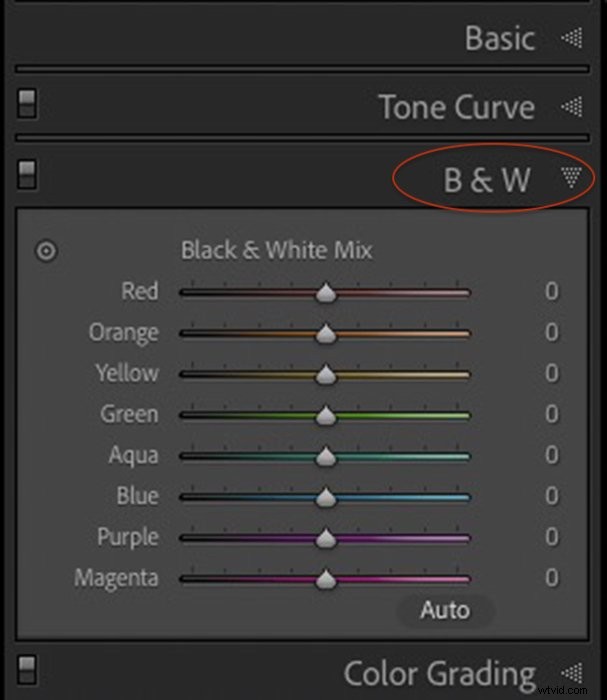 Expert Guide: Convert Images to Stunning Black & White in Photoshop and Lightroom