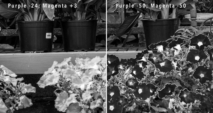 Expert Guide: Convert Images to Stunning Black & White in Photoshop and Lightroom