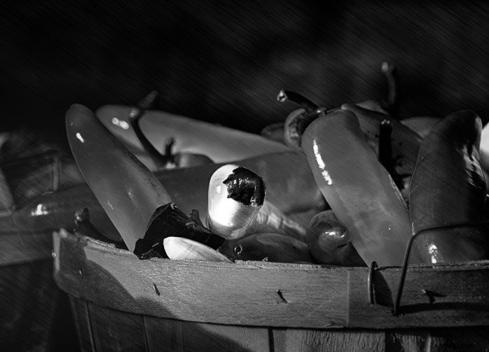 Expert Guide: Convert Images to Stunning Black & White in Photoshop and Lightroom