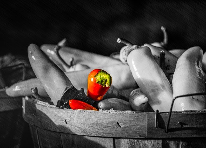 Expert Guide: Convert Images to Stunning Black & White in Photoshop and Lightroom